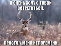 Я очень хочу с тобой встретиться, просто у меня нет времени