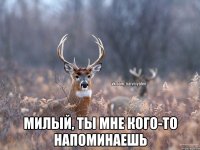  милый, ты мне кого-то напоминаешь