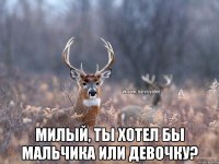  Милый, ты хотел бы мальчика или девочку?