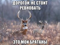 Дорогой, не стоит ревновать это мои братаны