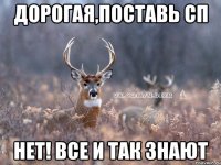 Дорогая,поставь сп Нет! Все и так знают