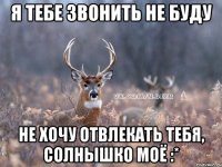 я тебе звонить не буду не хочу отвлекать тебя, солнышко моё :*