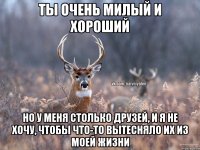 ты очень милый и хороший но у меня столько друзей, и я не хочу, чтобы что-то вытесняло их из моей жизни