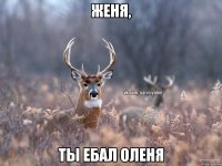 Женя, Ты ебал оленя