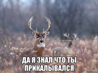  да я знал что ты прикалывался