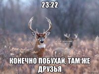 23:22 Конечно побухай, там же друзья