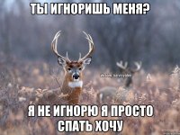 Ты игноришь меня? Я не игнорю я просто спать хочу