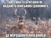 Америка та Британія не надають військову допомогу Це мірошниченко винен