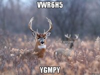 VWr6H5 YGmpy