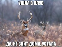 Ушла в клуб да, не спит дома, устала