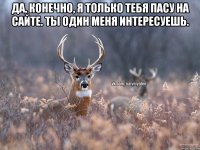 Да, конечно, я только тебя пасу на сайте. Ты один меня интересуешь. 