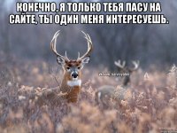 Конечно, я только тебя пасу на сайте, ты один меня интересуешь. 