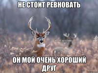 не стоит ревновать он мой очень хороший друг