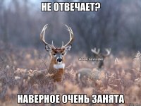 Не отвечает? Наверное очень занята