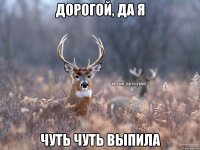 ДОРОГОЙ, ДА Я ЧУТЬ ЧУТЬ ВЫПИЛА