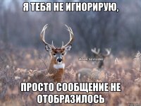 я тебя не игнорирую, просто сообщение не отобразилось