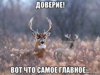 Доверие! Вот что самое главное...