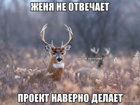 Женя не отвечает проект наверно делает