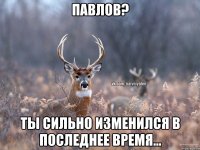 Павлов? Ты сильно изменился в последнее время...