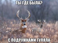 ты где была? с подружками гуляла