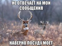 не отвечает на мои сообщения наверно посуду моет