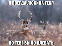 Я всегда любила тебя Но тебе было плевать