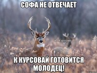 Софа не отвечает К курсовай готовится Молодец!