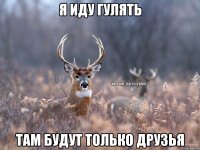 Я иду гулять там будут только друзья