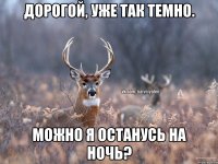 Дорогой, уже так темно. Можно я останусь на ночь?