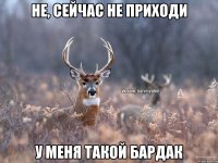 не, сейчас не приходи у меня такой бардак