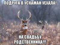 Подруга в Ускаман уехала! На свадьбу родственника!!!