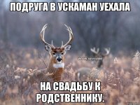 Подруга в Ускаман уехала На свадьбу к родственнику.