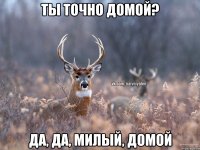 Ты точно домой? Да, да, милый, домой