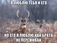 Я люблю тебя и его ,но его я люблю как брата, не переживай