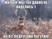 милый, мы так давно не виделись :( но я с подругами погуляю