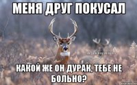 Меня друг покусал Какой же он дурак, тебе не больно?