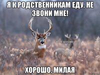 Я к родственникам еду. Не звони мне! Хорошо, милая