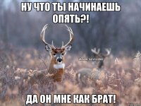 Ну что ты начинаешь опять?! Да он мне как брат!