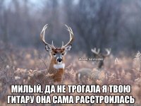  милый, да не трогала я твою гитару она сама расстроилась