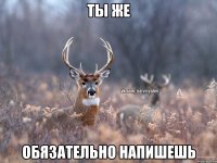 Ты же обязательно напишешь