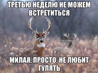 Третью неделю не можем встретиться Милая, просто, не любит гулять