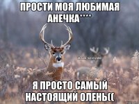 Прости моя любимая Анечка**** Я просто самый настоящий Олень((