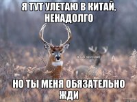 Я тут улетаю в Китай, ненадолго Но ты меня обязательно жди