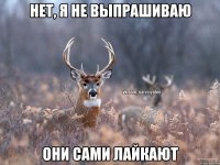 Нет, я не выпрашиваю Они сами лайкают