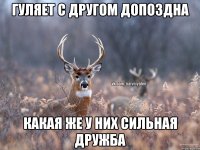 ГУЛЯЕТ С ДРУГОМ ДОПОЗДНА КАКАЯ ЖЕ У НИХ СИЛЬНАЯ ДРУЖБА