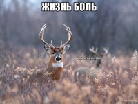 жизнь боль 