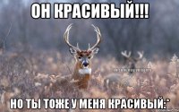 он красивый!!! но ты тоже у меня красивый:*