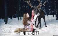  ВЫКУСИТЕ