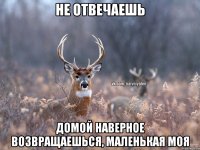 Не отвечаешь Домой наверное возвращаешься, маленькая моя