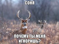 Соня Почему ты меня игноришь?